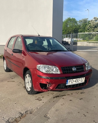 Fiat Punto cena 5900 przebieg: 230000, rok produkcji 2005 z Poznań małe 37